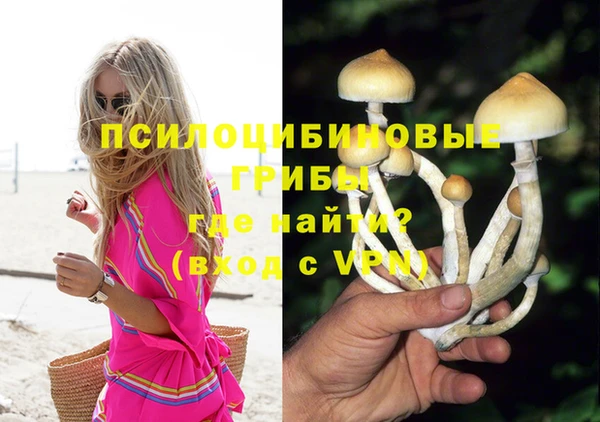 мяу мяу кристалл Ельня