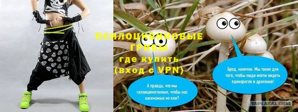 ALPHA-PVP Елизово