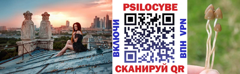 Псилоцибиновые грибы ЛСД  mega онион  Черкесск 